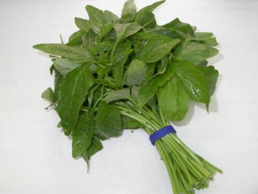 Gambar Hạt giống rau dền xanh lá liễu