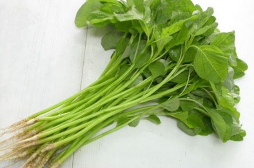 Gambar Hạt giống rau dền xanh lá tròn