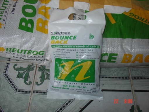 Gambar phân bón bounec - back