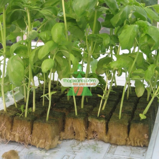 图片 Bông khoáng (Rockwool, Len Đá) cả kiện