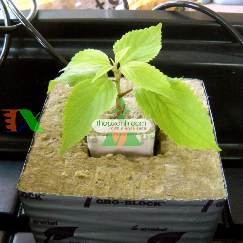 Bông khoáng (Rockwool, Len Đá) cả kiện