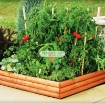 Gambar Luống gỗ trồng rau