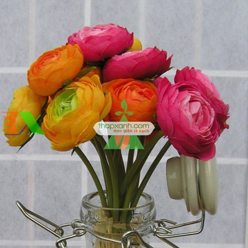 Hạt giống Hoa Hồng Ri Ba Tư