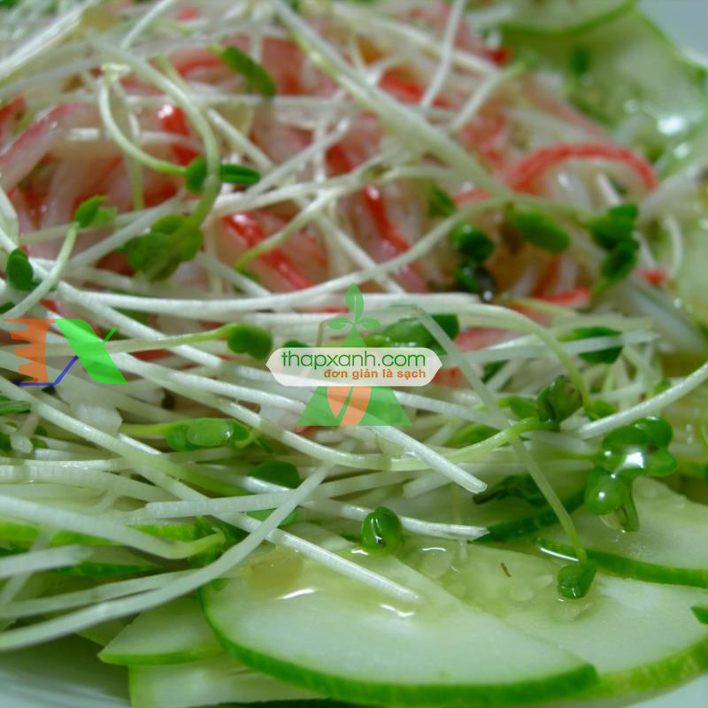 Hạt giống rau mầm cải italy