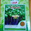 Gambar Hạt giống rau mầm củ cải đỏ malady