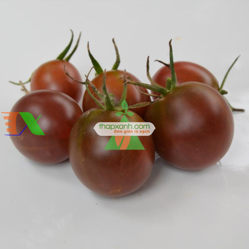 Hạt giống Cà Chua Nâu (cà chua Socola)