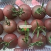 Ảnh của Hạt giống Cà Chua Nâu (cà chua Socola)