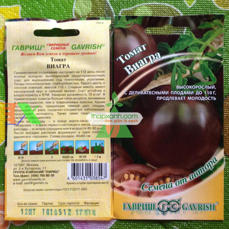 Hạt giống Cà Chua Nâu (cà chua Socola)