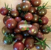 Ảnh của Hạt giống Cà Chua Nâu (cà chua Socola)