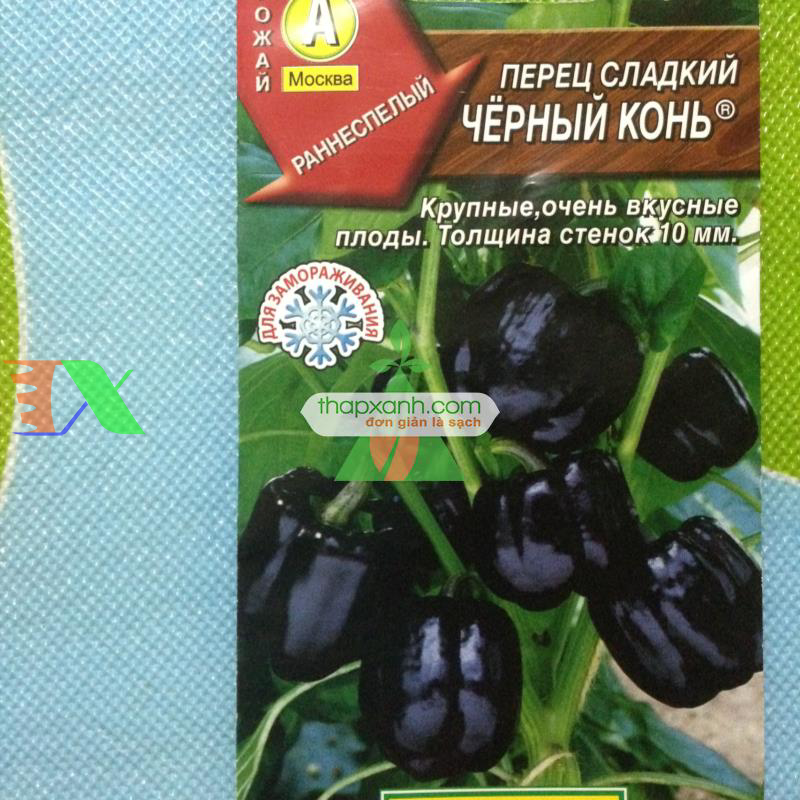 Hạt giống Ớt Chuông Đen