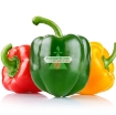 Gambar Hạt giống Ớt Chuông Mix