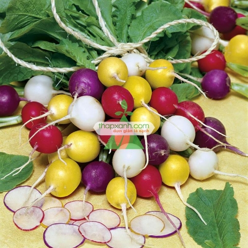 图片 Hạt giống Củ cải Cầu Vồng (Cherry mix)
