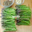 รูปภาพของ Hạt giống Măng Tây xanh (TQ)