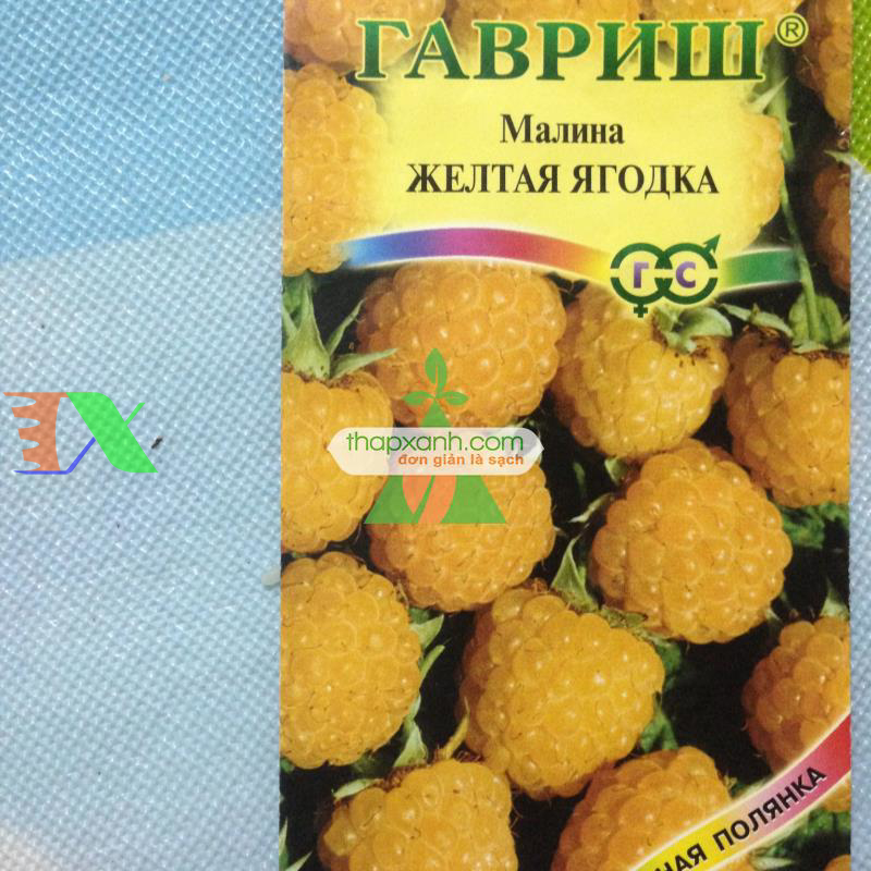 Hạt giống Mâm Xôi vàng
