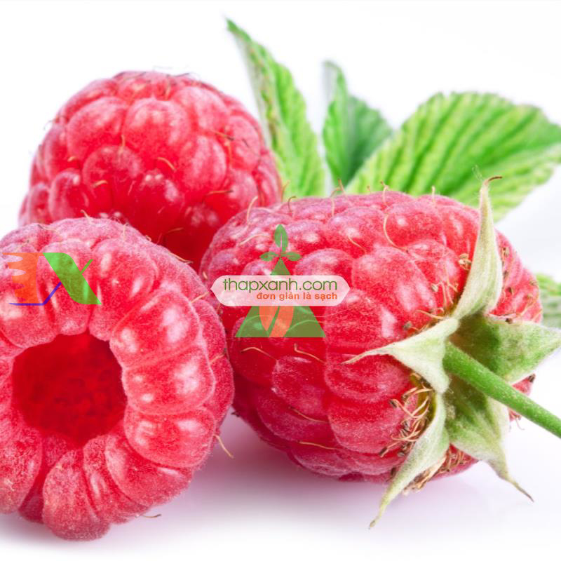 Hạt giống Mâm Xôi đỏ