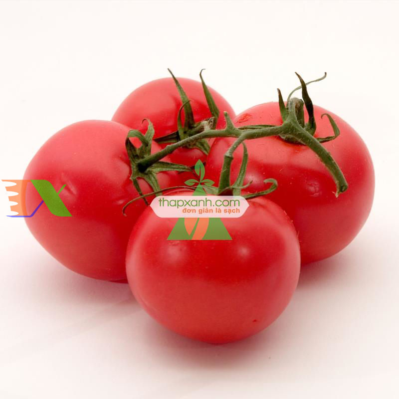 Hạt giống Cà Chua Bi đỏ (Nga)