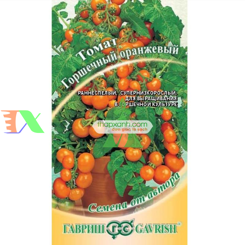 Hạt giống Cà Chua Bi lùn cam