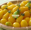 Ảnh của Hạt giống Cà Chua Bi trái lê (vàng)