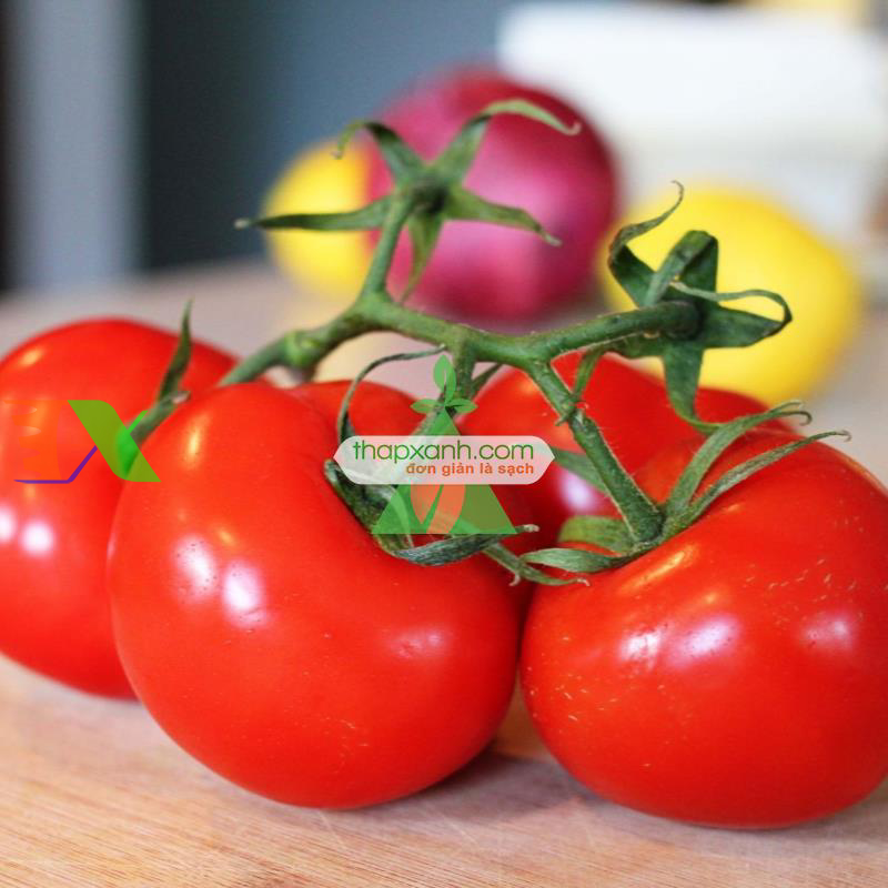 Hạt giống Cà Chua Đỏ