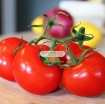 รูปภาพของ Hạt giống Cà Chua Đỏ