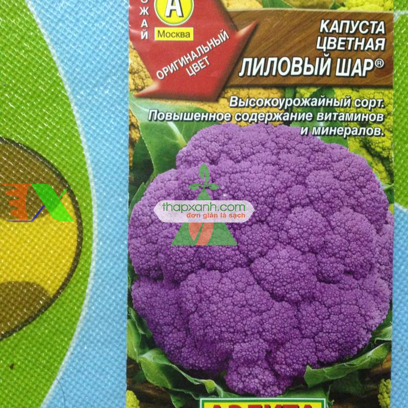 Hạt giống Súp Lơ tím