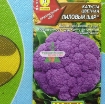 รูปภาพของ Hạt giống Súp Lơ tím