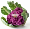รูปภาพของ Hạt giống Súp Lơ tím