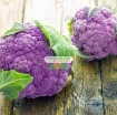 รูปภาพของ Hạt giống Súp Lơ tím