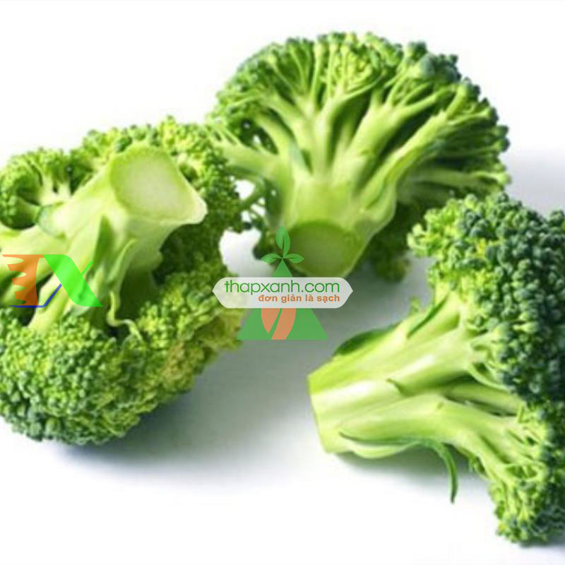 Hạt giống Súp Lơ xanh