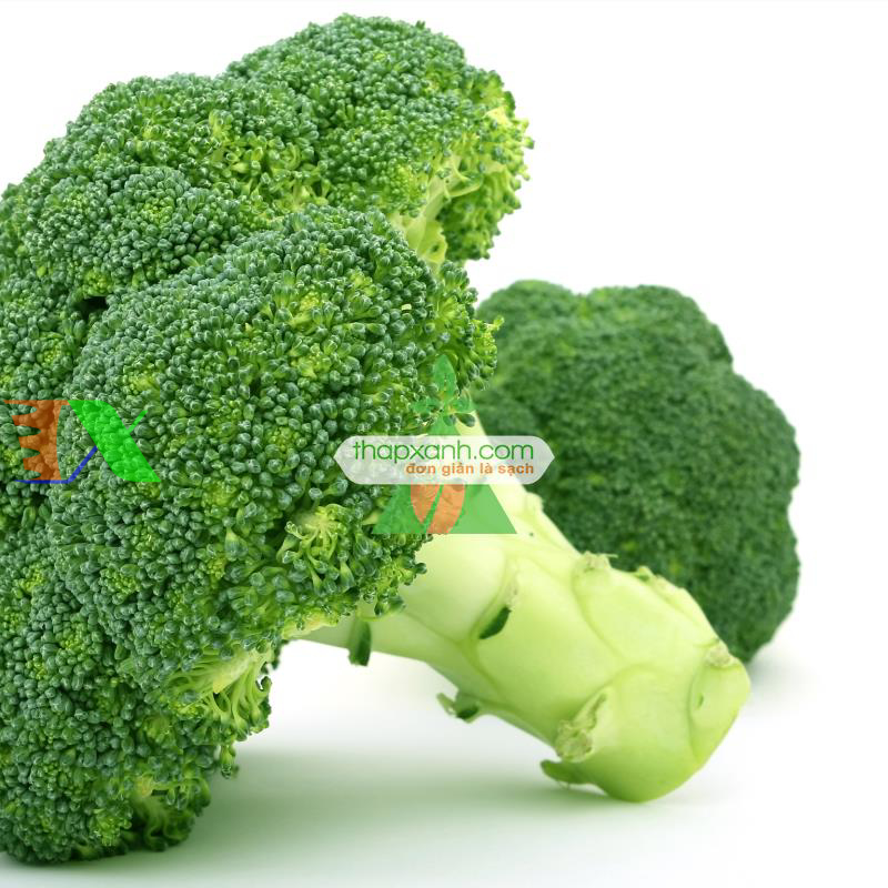 Hạt giống Súp Lơ xanh
