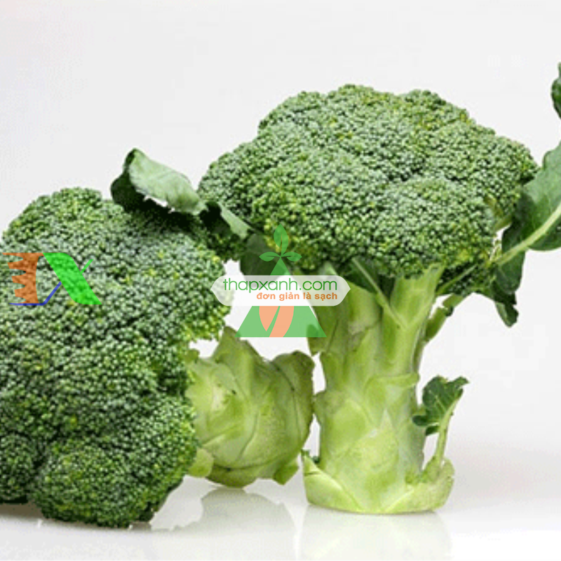 Hạt giống Súp Lơ xanh
