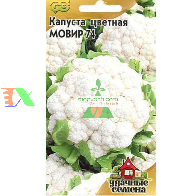 Hạt giống Súp Lơ trắng