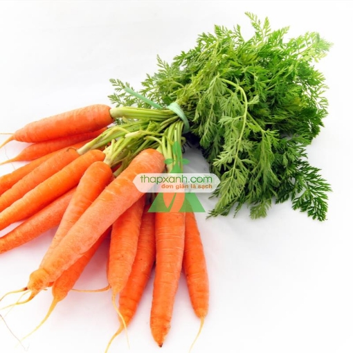 Picture of Hạt giống Cà rốt vàng