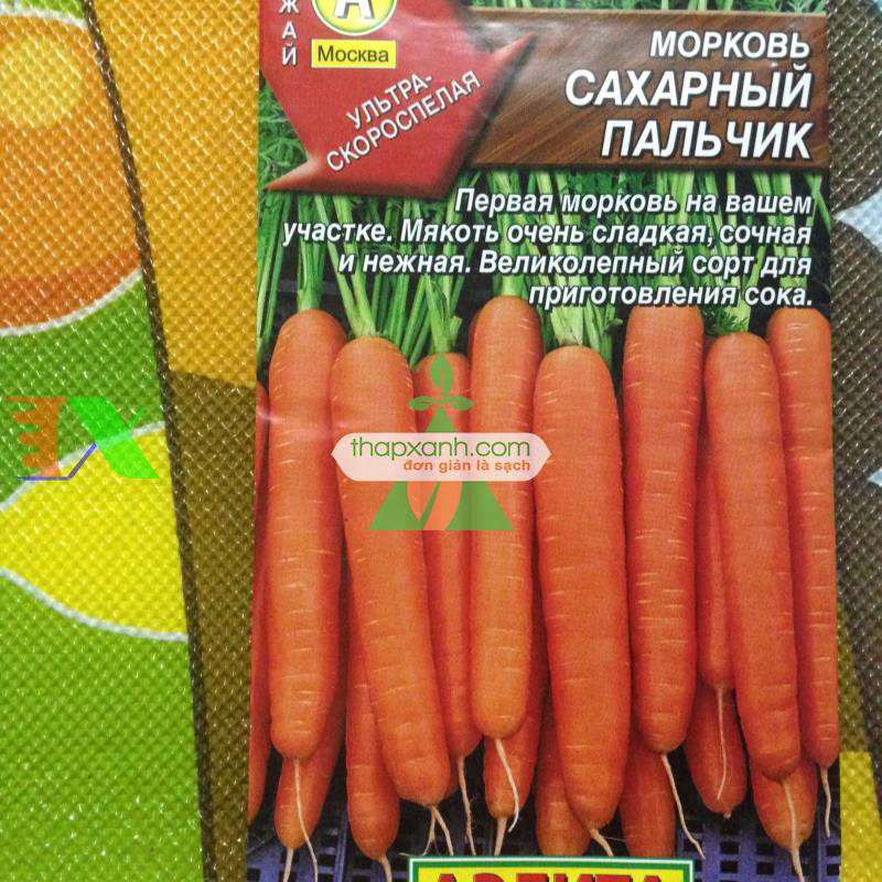 Hạt giống Cà rốt vàng