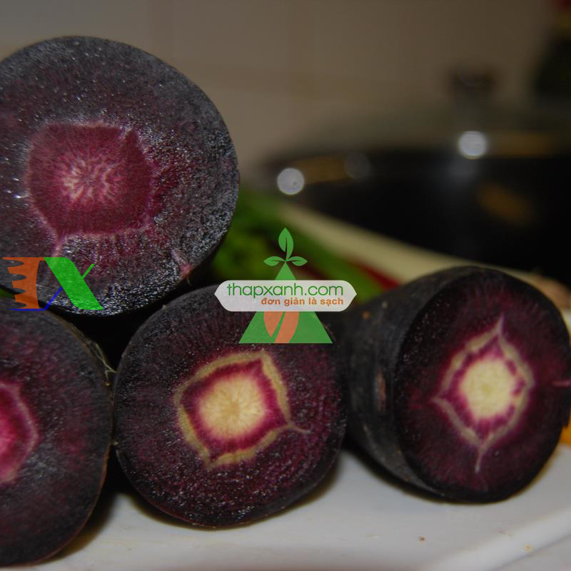 Hạt giống Cà rốt tím