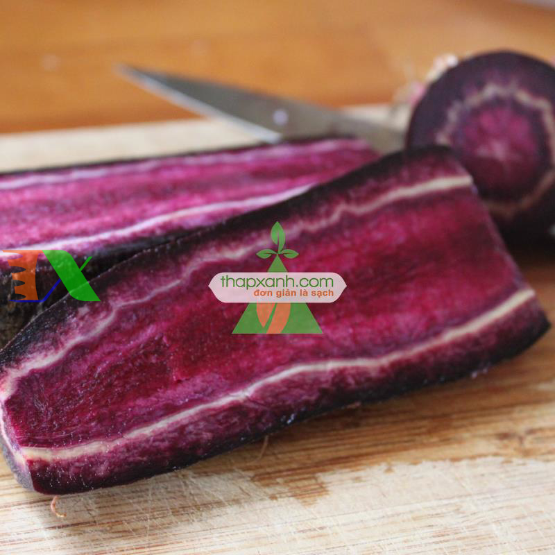 Hạt giống Cà rốt tím