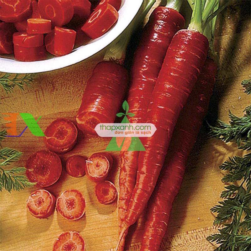 Hạt giống Cà rốt đỏ