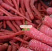 รูปภาพของ Hạt giống Cà rốt đỏ