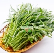 รูปภาพของ Hạt giống Rau Muống lá tre