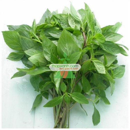 รูปภาพของ Hạt giống rau Húng Quế