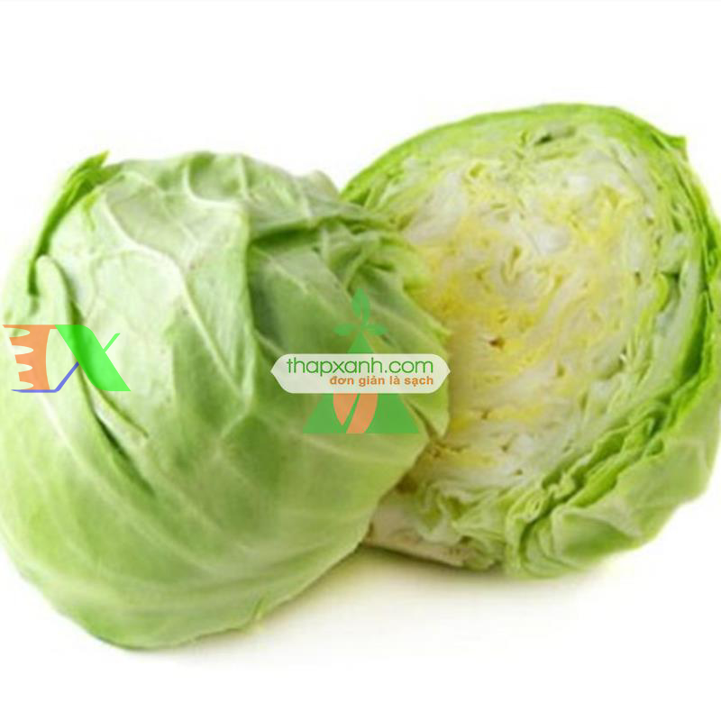 Hạt giống Bắp cải