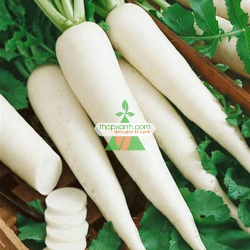 图片 Hạt giống củ cải trắng