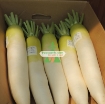 图片 Hạt giống củ cải trắng