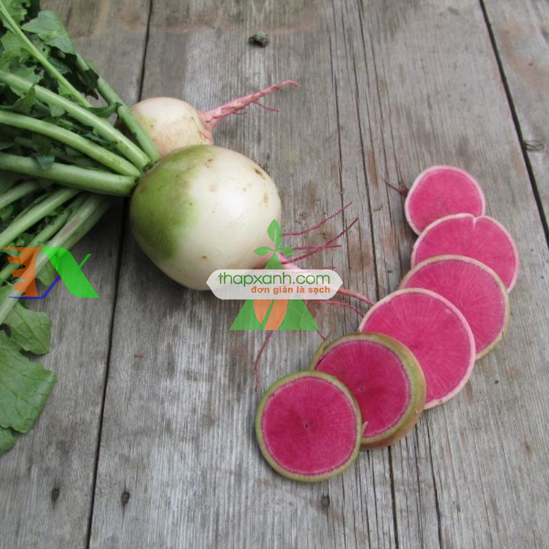 Hạt giống Củ Cải Trắng Ruột Đỏ