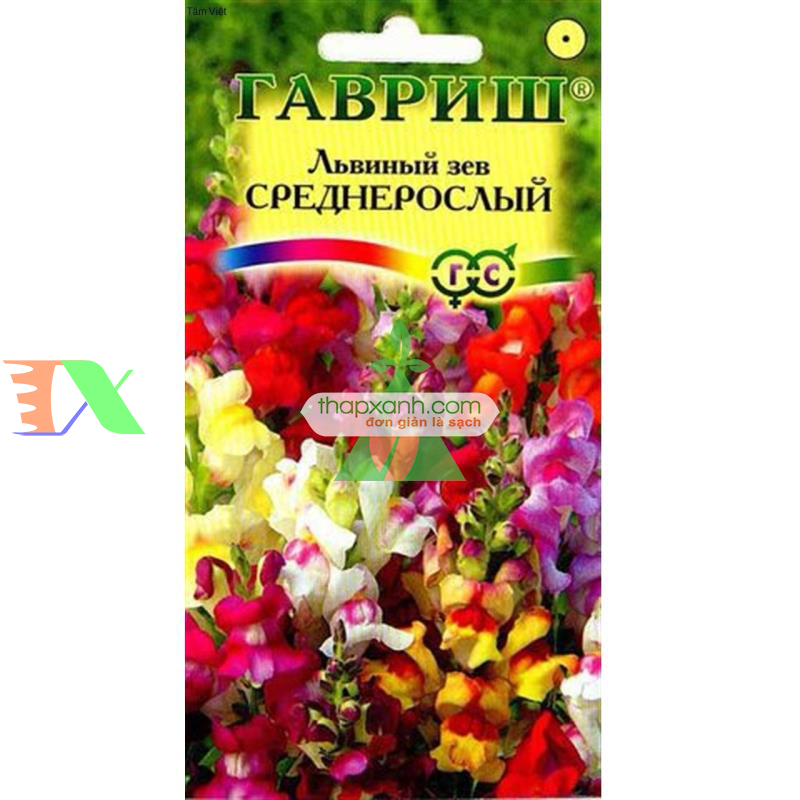 Hạt giống Hoa Mõm Sói (Nga)