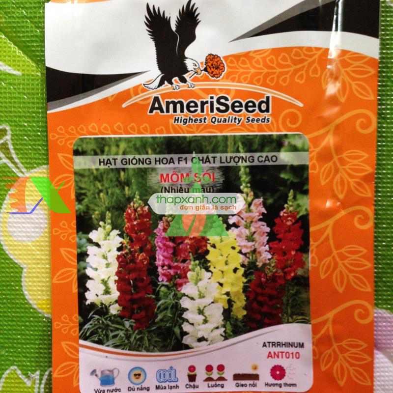 Hạt giống Hoa Mõm Sói (Mỹ)