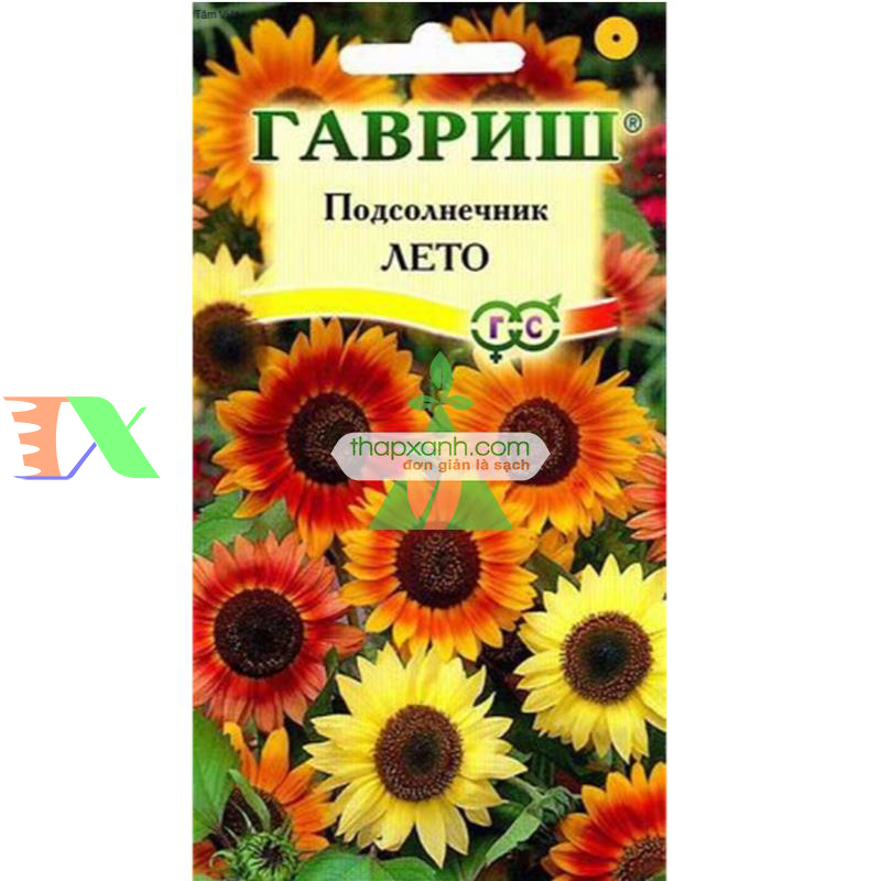 Hạt giống Hoa Hướng Dương mix