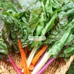 รูปภาพของ Hạt giống Cải Cầu Vồng