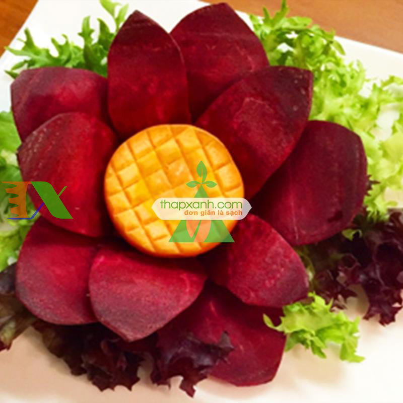 Hạt giống Củ Dền (Củ cải ngọt đỏ))