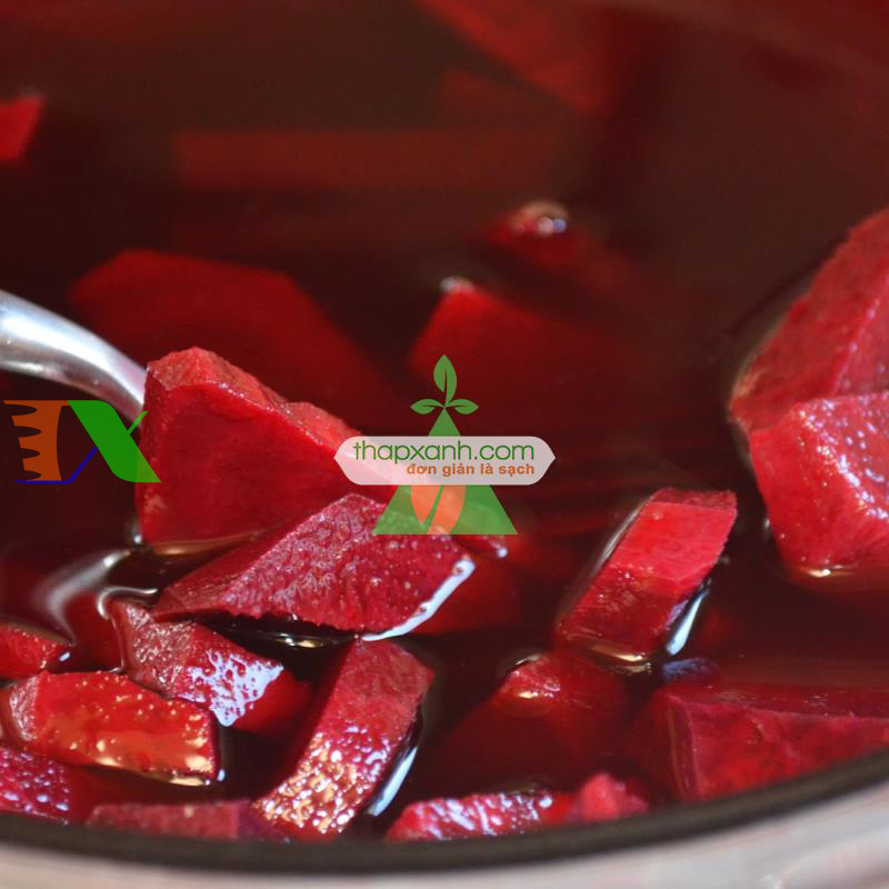 Hạt giống Củ Dền (Củ cải ngọt đỏ))